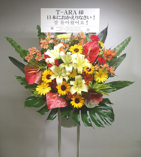 T-ARA : 花に想いをのせて