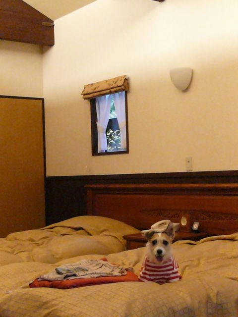 L1060239.JPG