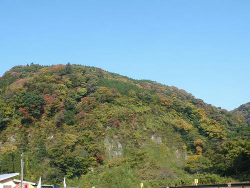 L1060856.JPG