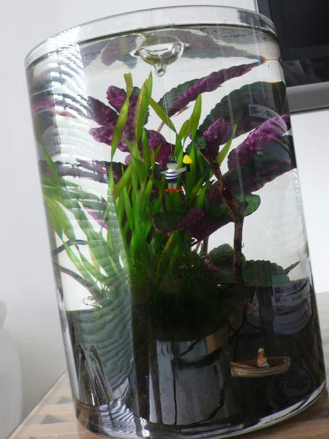 L1080081.JPG