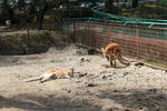 IMG_1690_R.JPG