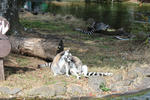 IMG_1740_R.JPG