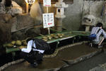 kamakura_14_R.JPG