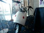 CIMG3091_R.JPG