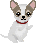 chifuafua-ani-ic3.gif