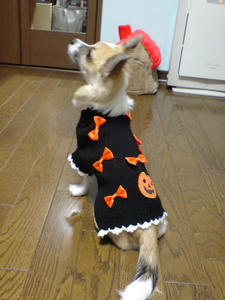 DSC00185.jpg