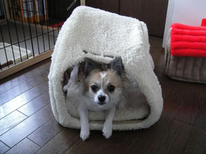 DSC00015.jpg