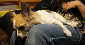 DSC00031.jpg