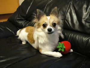 DSC00033.jpg