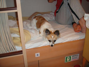 DSC00104.jpg