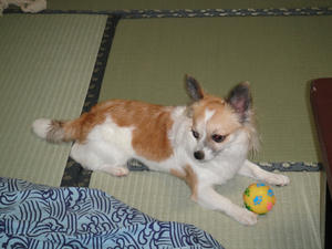 DSC00188-2.jpg