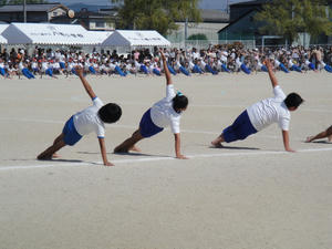 DSC00240.jpg