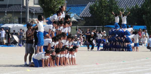 DSC00253.jpg