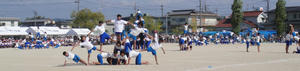 DSC00257.jpg