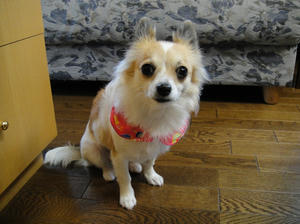 DSC00321.jpg
