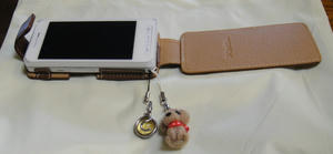 DSC00406.jpg