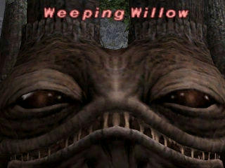 Weeping Willow