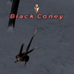 Black Coney