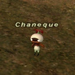 Chaneque
