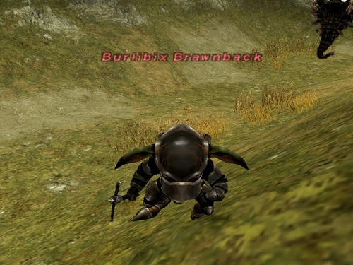 Burlibix Brawnback