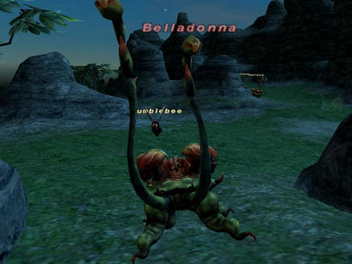 Belladonna