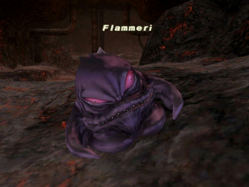 Flammeri