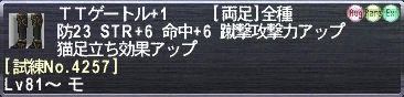 ＴＴゲートル+1 [試練No.4257]