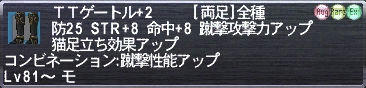 ＴＴゲートル+2