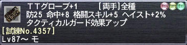 ＴＴグローブ+1 [試練No.4357]