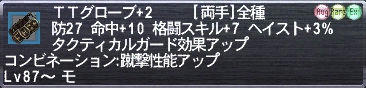 ＴＴグローブ+2