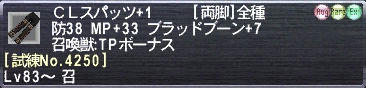 ＣＬスパッツ+1 [試練No.4250]