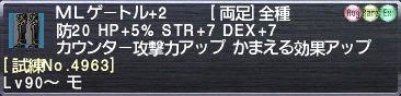 ＭＬゲートル+2 [試練No.4963]