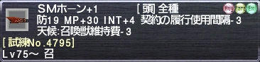 ＳＭホーン+1 [試練No.4795]