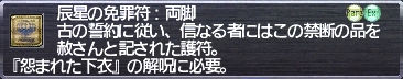 辰星の免罪符:両脚