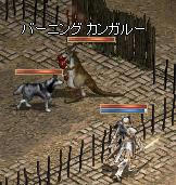 ペットマッチ.jpeg