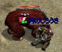 くまー.jpeg