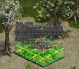 52UP_2.JPG