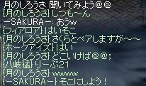 chat_21.JPG
