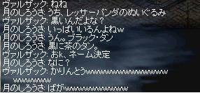 chat_4.JPG