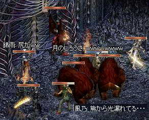 くまーず_2.jpeg