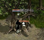 育熊猫中.jpeg