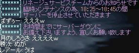 chat_47.JPG