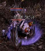 墓マンボ_01.jpeg
