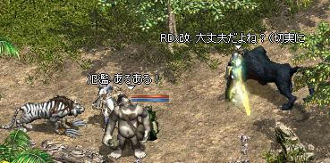 野良タマ.jpeg