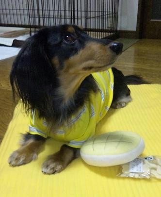 3さいお誕生日.jpeg