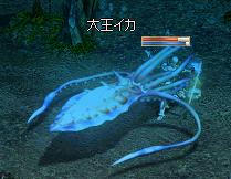 イカ_01.jpeg