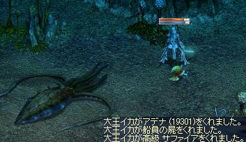 イカ_02.jpeg