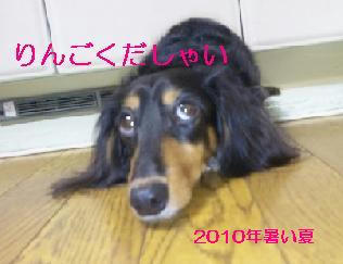 2010夏.jpeg