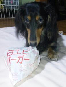 白エビバーガー.jpeg