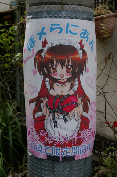 IMGP4130.JPG